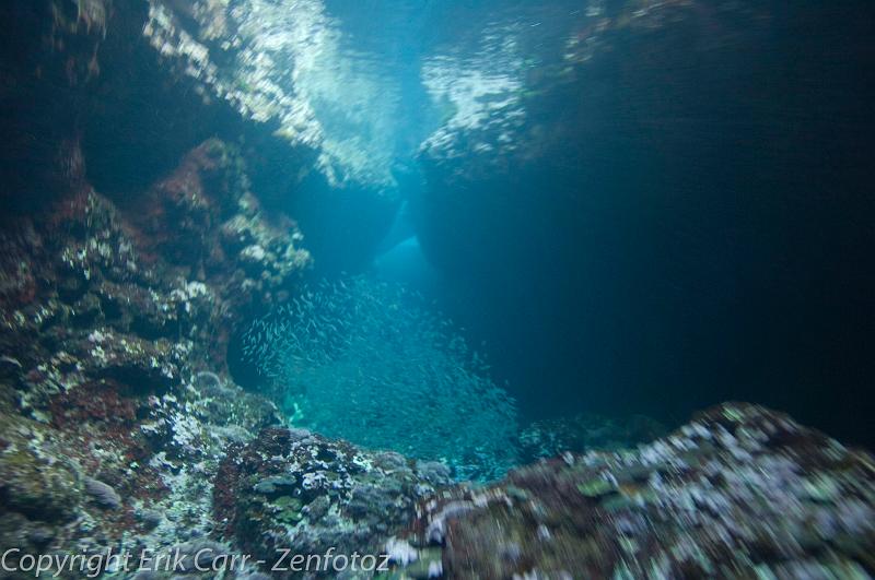 BVI Diving-0323.jpg